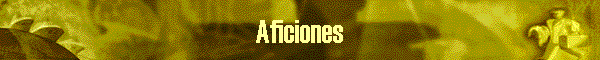 Aficiones
