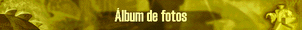 lbum de fotos